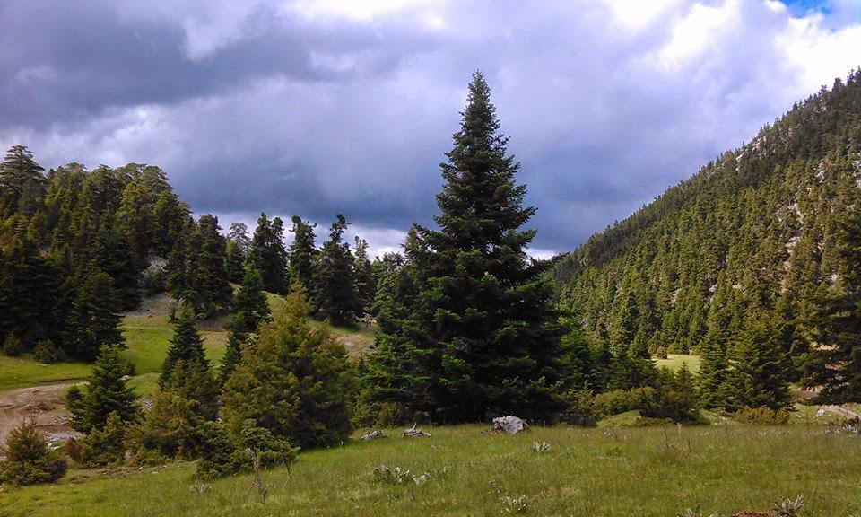 Alexander Resort Arachova Dış mekan fotoğraf