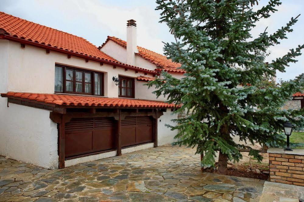 Alexander Resort Arachova Dış mekan fotoğraf